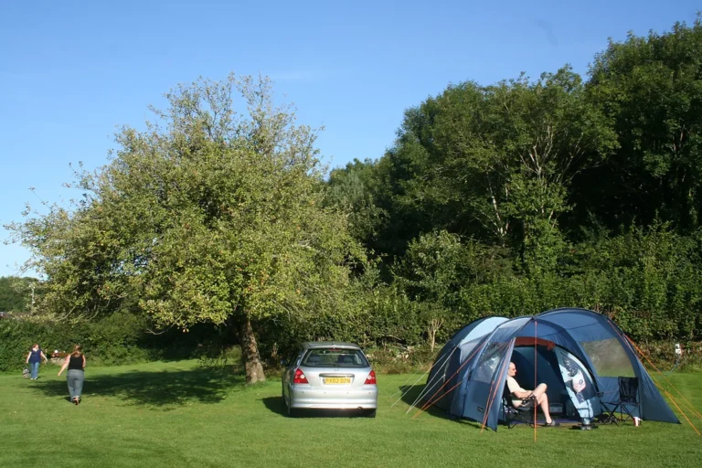 343463 b24d08b30ee78c28ce17530e8cfd9145 768x512