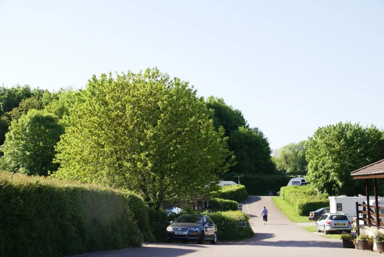 343463 b95e71b6892ee2f2633de81bbbc2fe7c 768x514