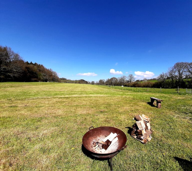 Devon camping just 5 pitches 768x684