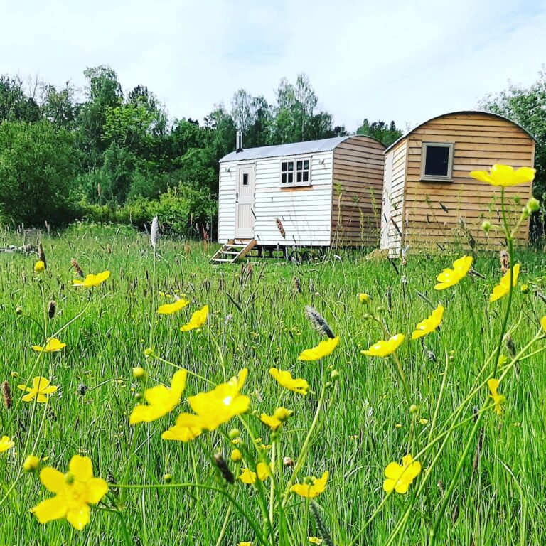 Stay in a shepherds hut in Devon 768x768