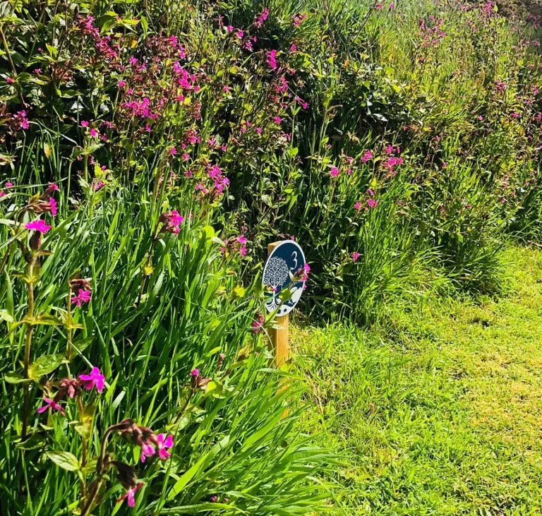 a2ce3b 49735147f1794b719dbef6362025e801 mv2 768x731