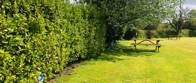 a2ce3b abd2a955021f44debc7efcdb0b89238e mv2 768x326