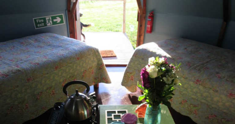 out to grass 5 768x406