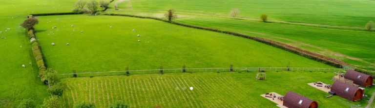 wingbury farm 2 768x223