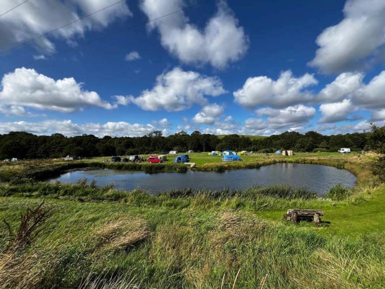 high hall farm campsite in eden valley visitor photo 800px high 01 768x576