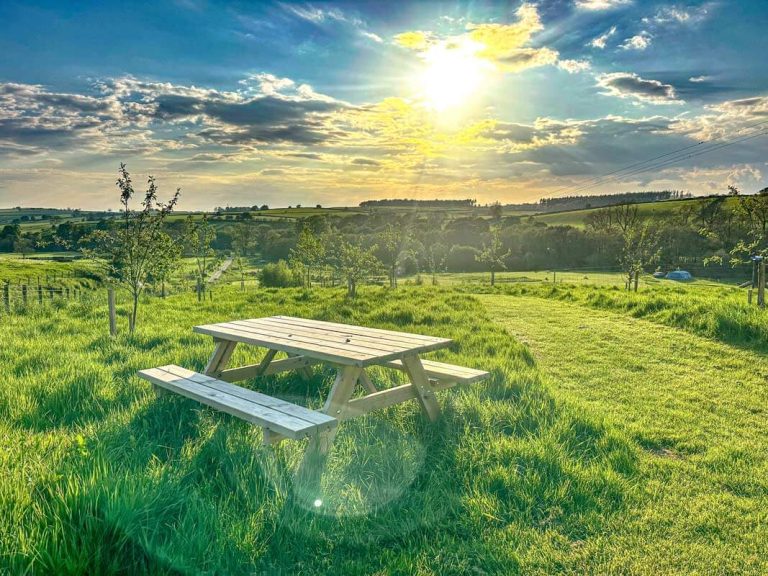 high hall farm campsite in eden valley visitor photo 800px high 10 768x576