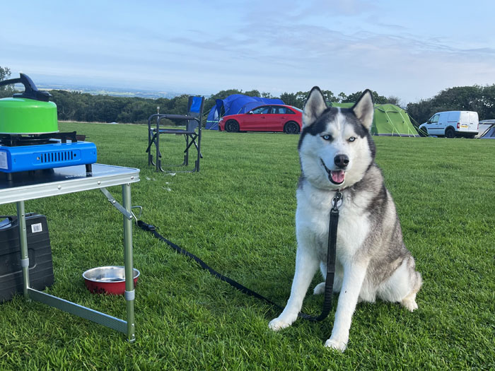 tent3 23