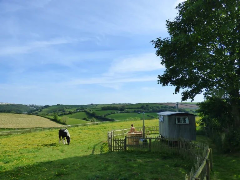Hutoutside1 768x576