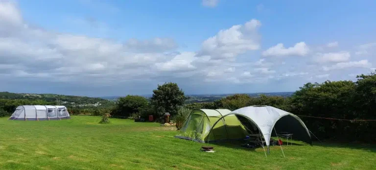 Camping1 1024x462 1 768x347