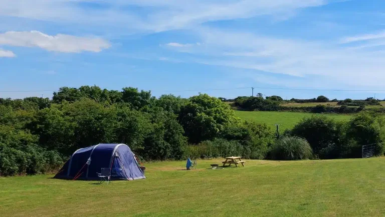 Camping7 1024x577 1 768x433