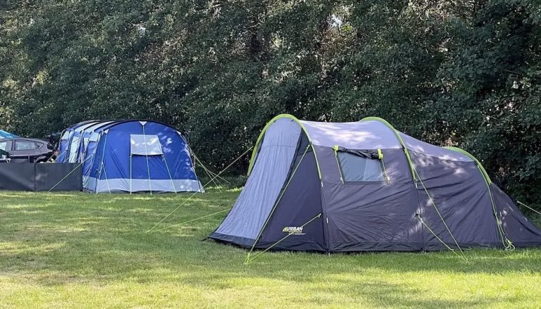 FollyField03 1 768x439