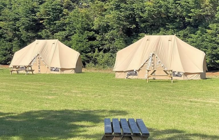 FollyField04 1 768x492