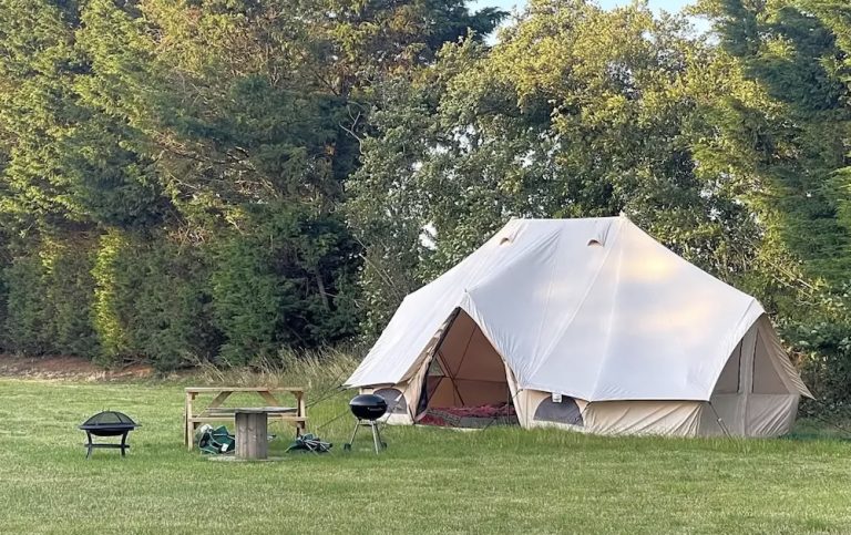 FollyField05 1 768x483